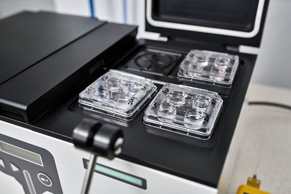 Der spezielle Brutkasten, in dem die Befruchtung stattfindet