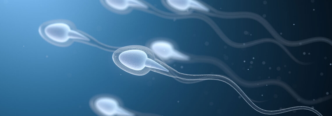 Graphische Darstellung von Spermien auf dunkelblauem Hintergrund