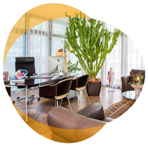 Freundliches Sprechzimmer der Kinderwunsch-Clinic Dr. Zech