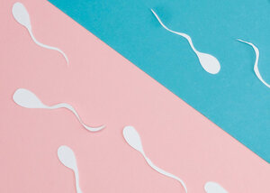 Eine Abbildung von Spermien