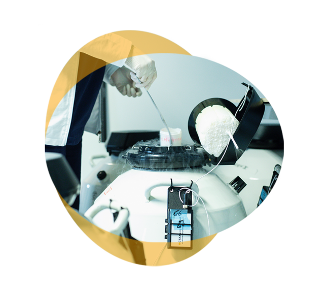 Kryologie als Behandlungsmethode für den Kinderwunsch 