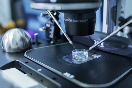 Behandlungen & Leistungen